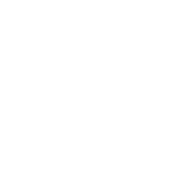 ce logo Vineland