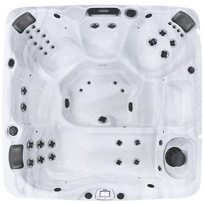 Avalon-X EC-840LX hot tubs for sale in Vineland