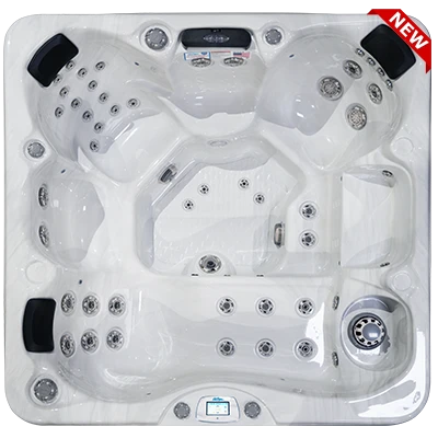 Avalon-X EC-849LX hot tubs for sale in Vineland